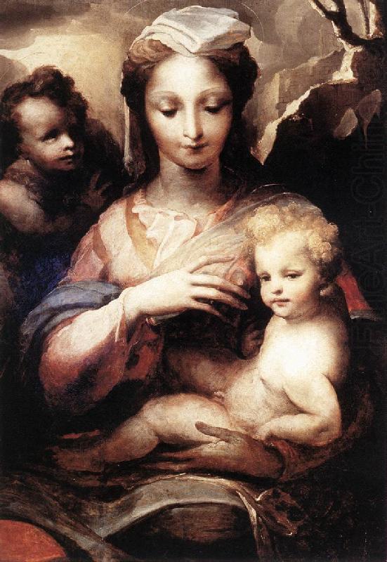 Madonna with the Infant Christ and St John the Baptist  gfgf, BECCAFUMI, Domenico